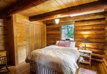Pourquoi traiter les bois utilisés en construction ?
