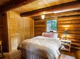 Traiter les bois en construction pour allier durabilité et sécurité Pourquoi traiter les bois utilisés en construction ?