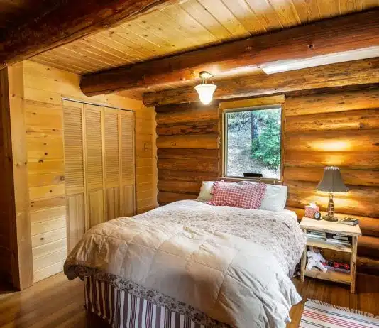 Traiter les bois en construction pour allier durabilité et sécurité Pourquoi traiter les bois utilisés en construction ?