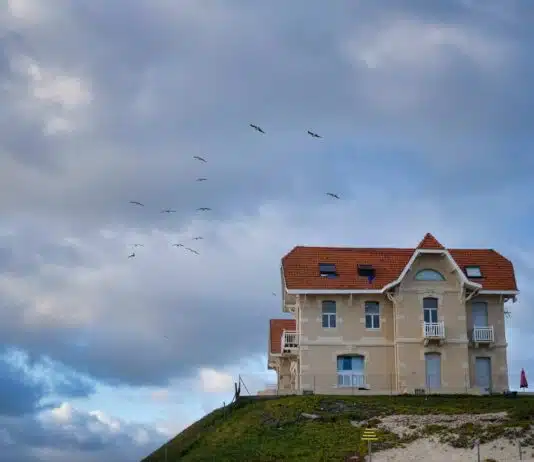 Pourquoi miser sur l’immobilier à Biscarrosse : un marché prometteur ?